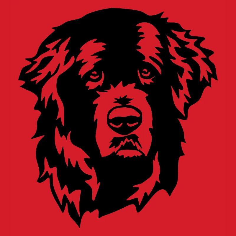 Newfoundland head