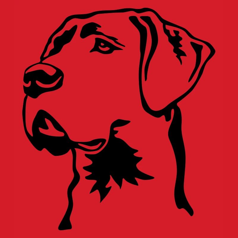 Great Dane head