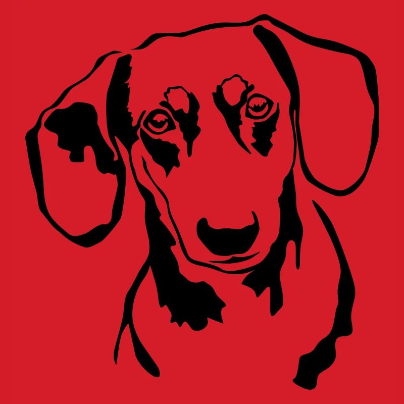 Dachshund head
