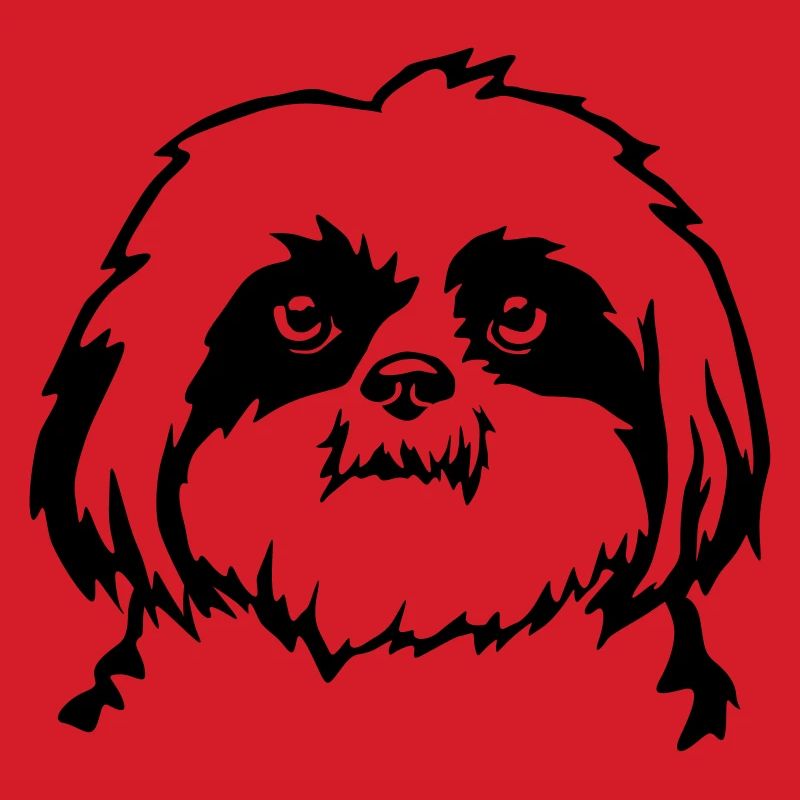 Shih Tzu head