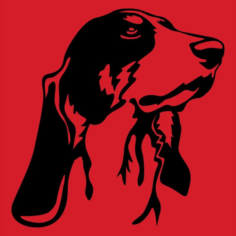 Bernese hound head