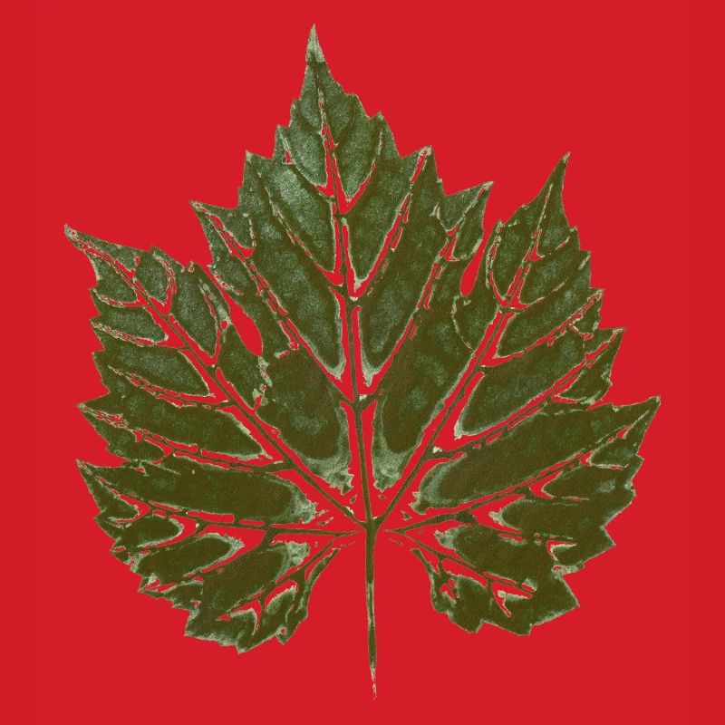 Grape leaf GREEN - leaf print - WINER & GARDEN