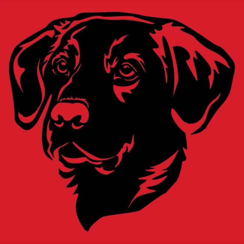 Labrador Head