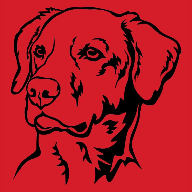 Labrador Head