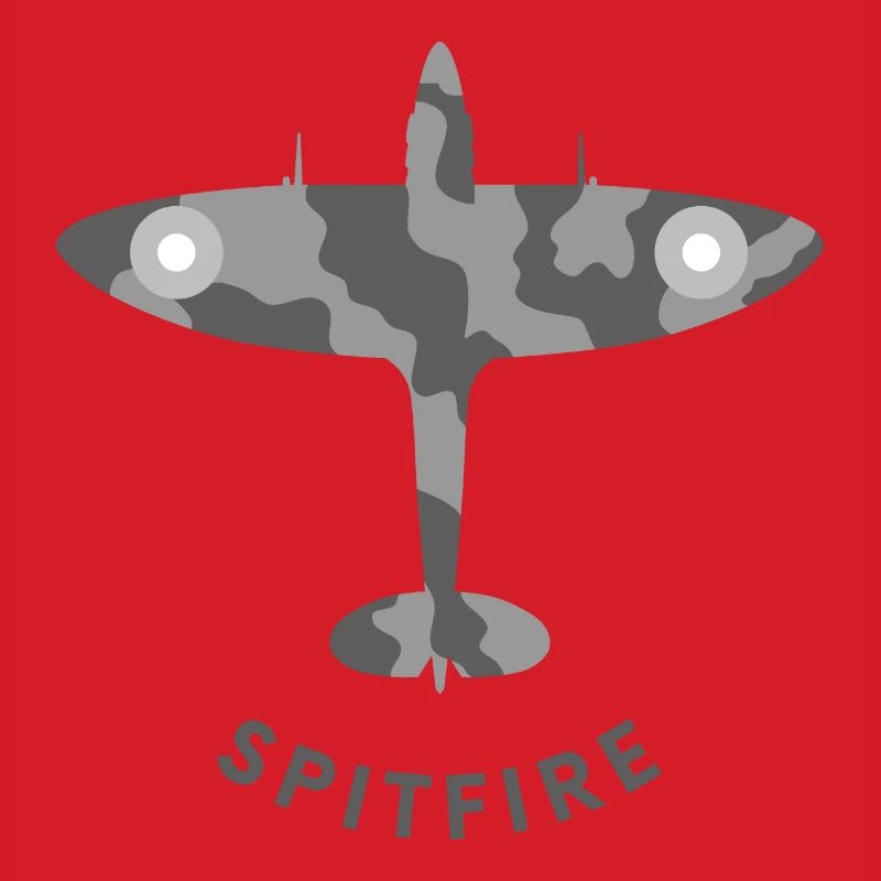 Spitfire fighter plane