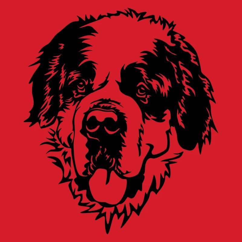 St. Bernard's Head