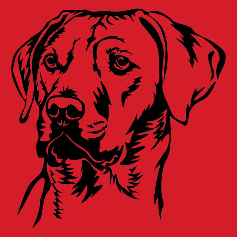 Rhodesian Ridgeback head