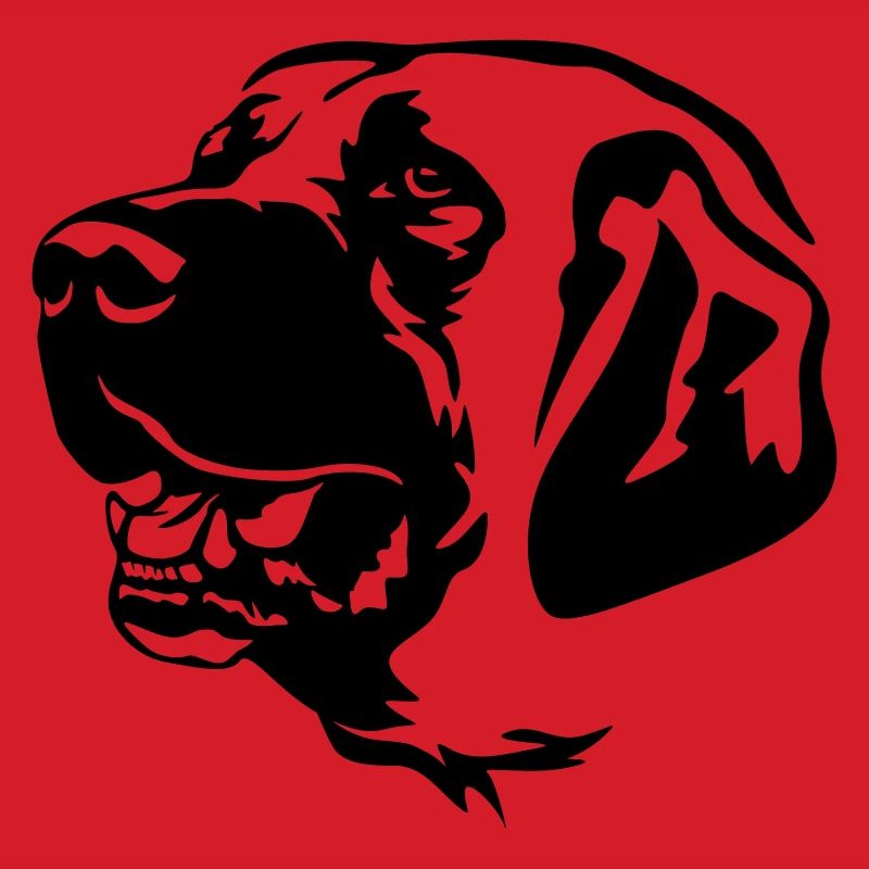 Kangal Head