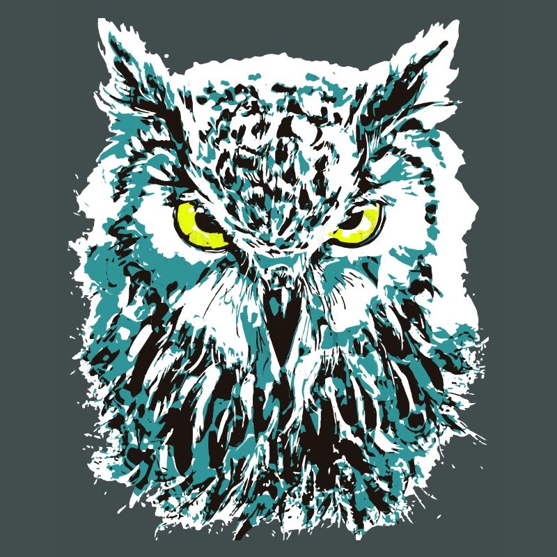 Bunte Eule - Eulenkopf - Kauz - Farbenfrohe Eule