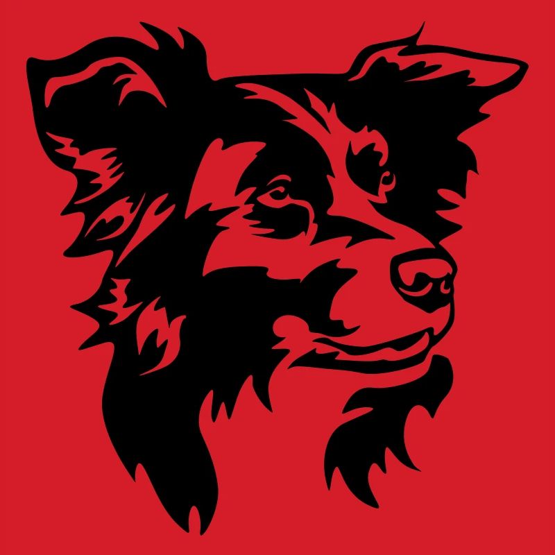 Border Collie Head