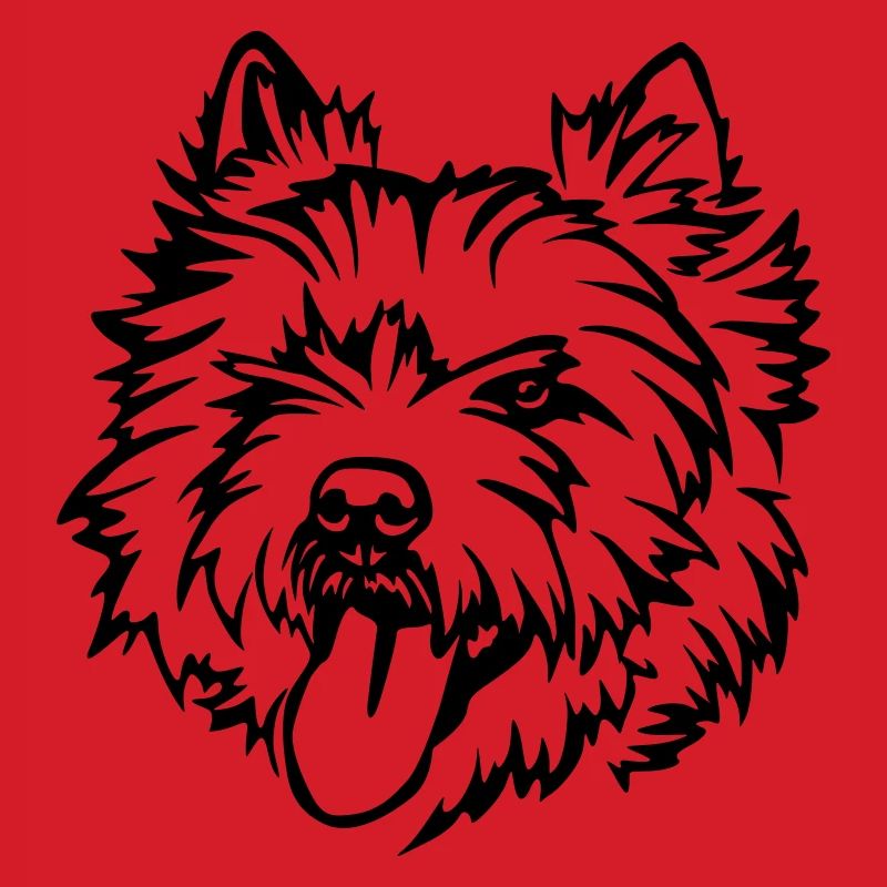 Cairn Terrier Head