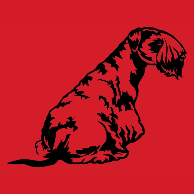 Cesky Terrier