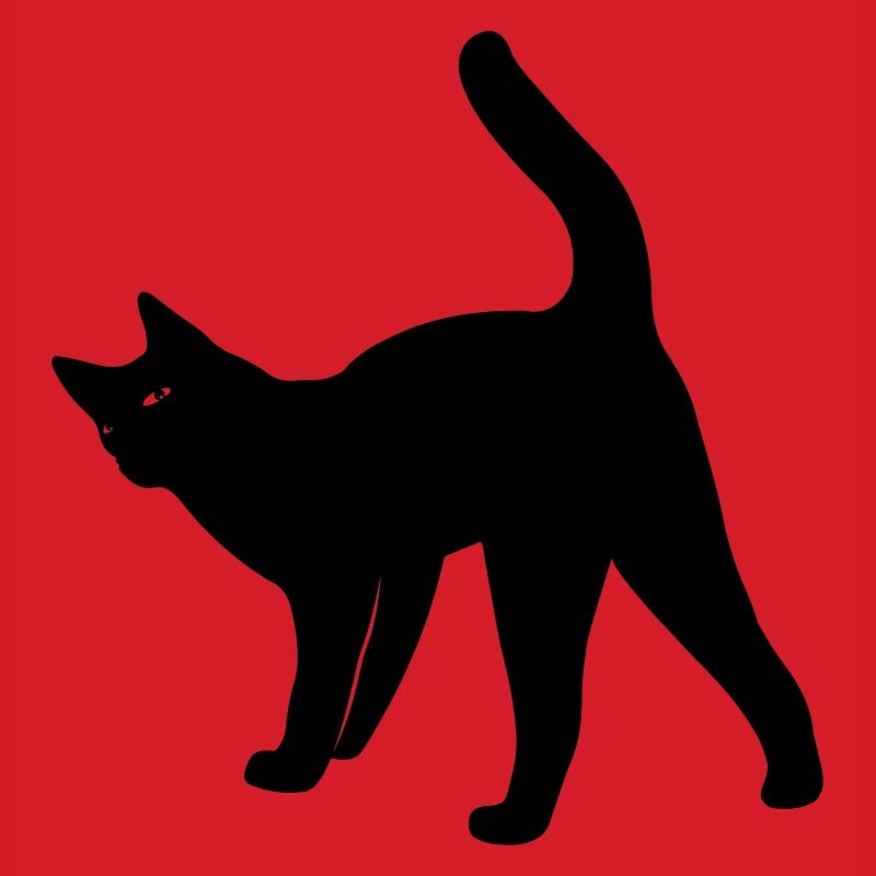 Cat cat