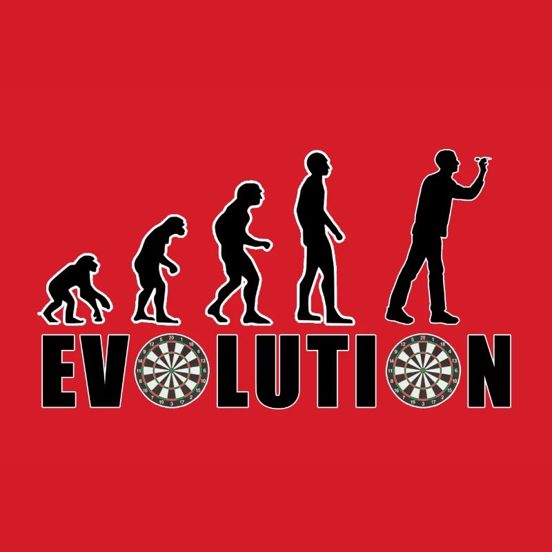 EVOLUTION DARTS Game Arrow Dartboard Gift