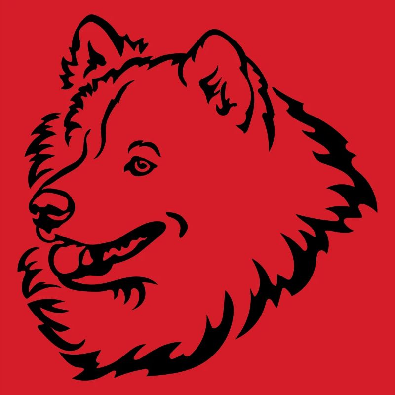 Samoyed head