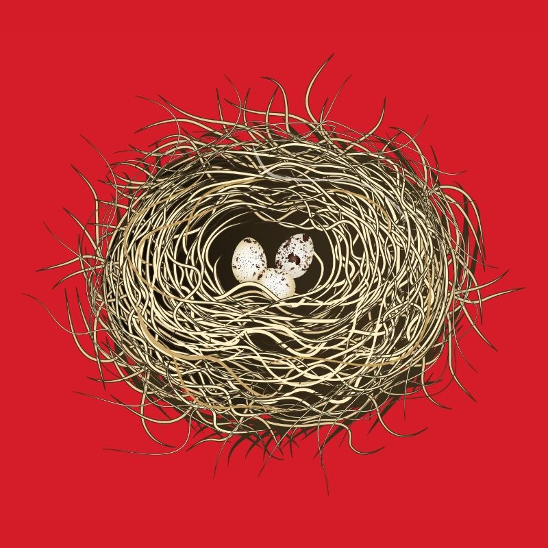 Vogelnest oder Osternest mit drei Vogel Eier