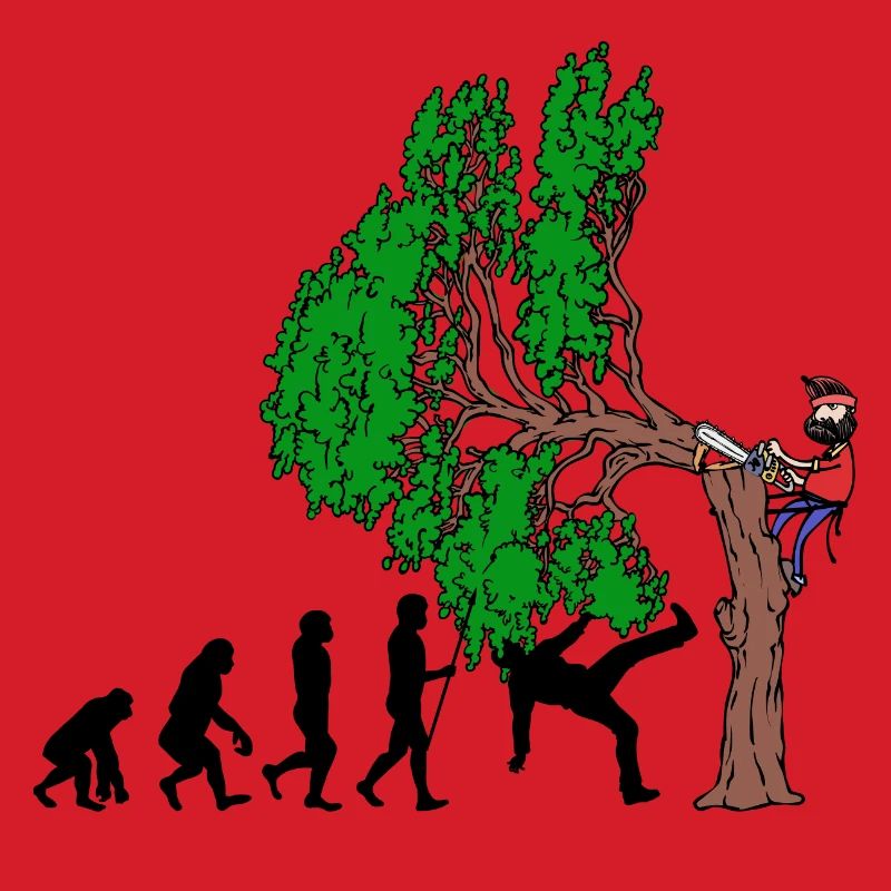 Tree Evolution Wood Lumberjack Lumberjack Forest