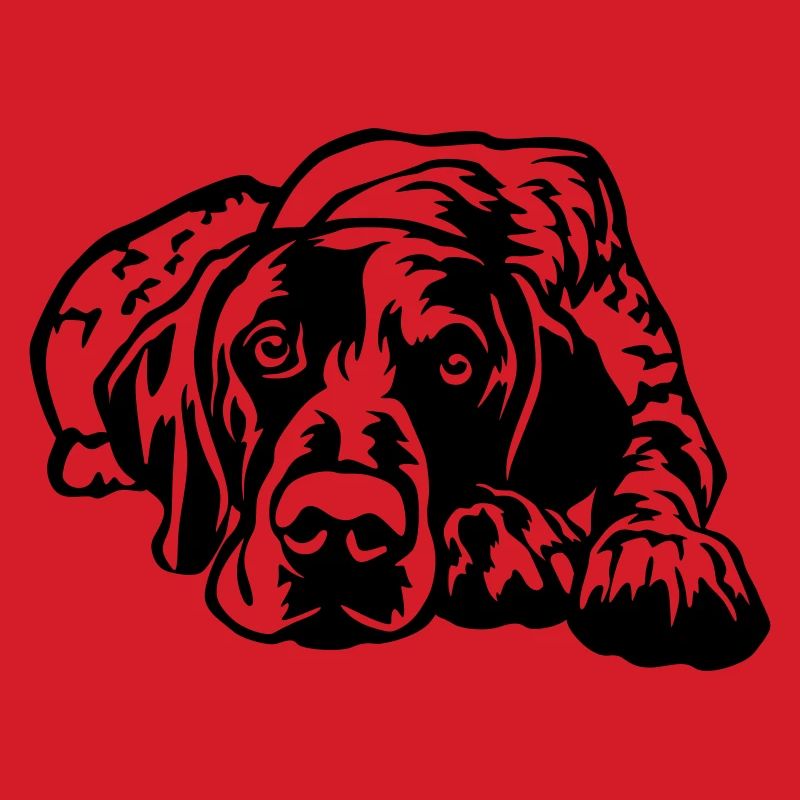 German Shorthaired Pointer