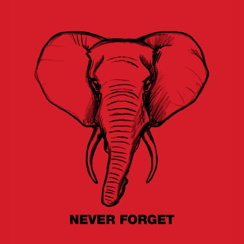 Elephant - Never forget