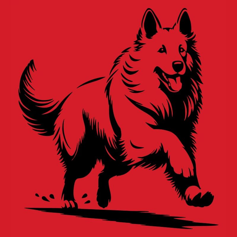 Schweizer Schäferhund