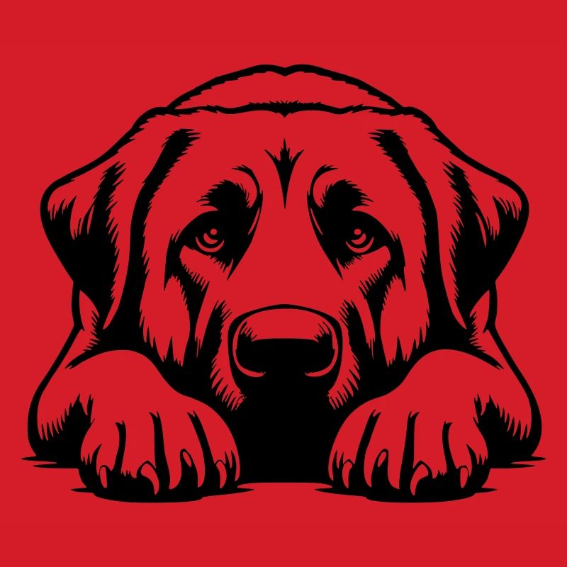 Kangal Head with Paws