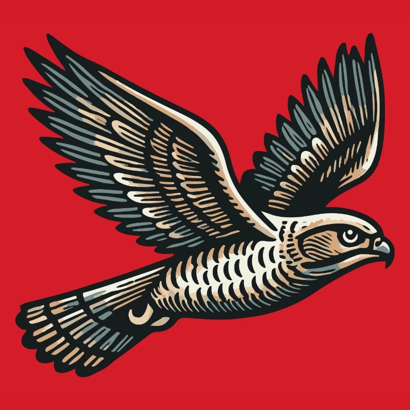 Hawk