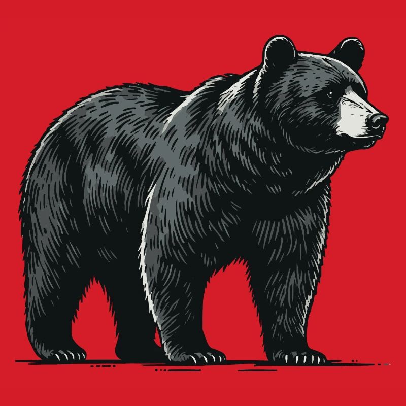 Black bear