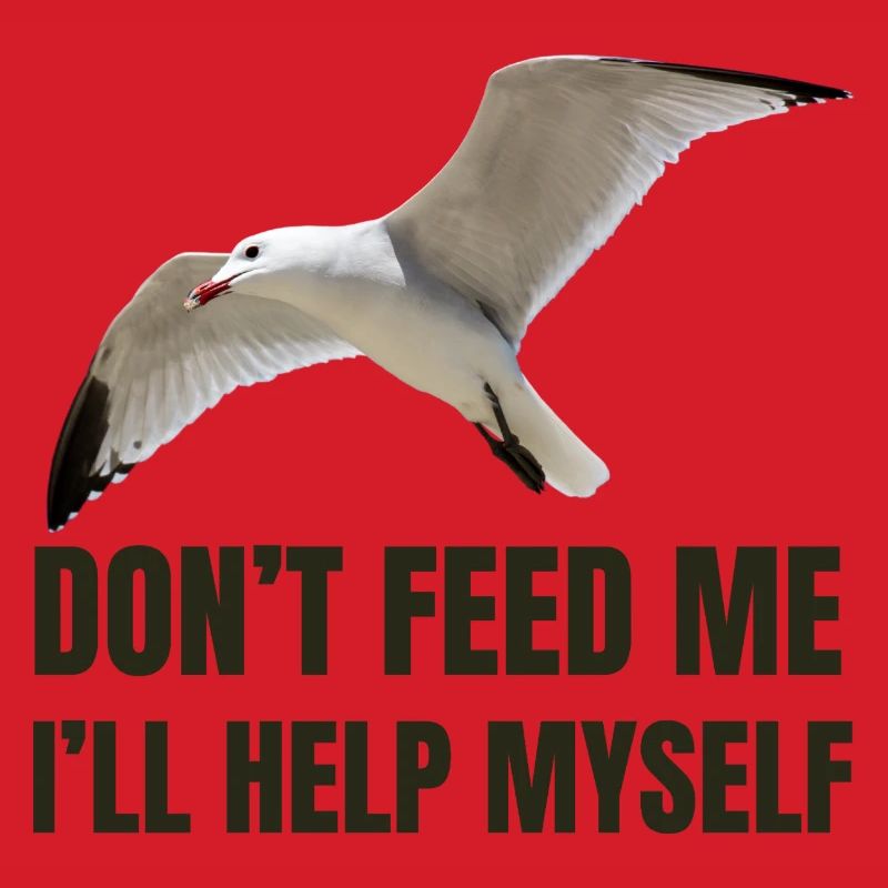 Möwe mit mutigem Statement