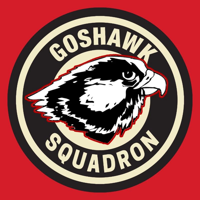 Conception de l’insigne de l’escadron Goshawk