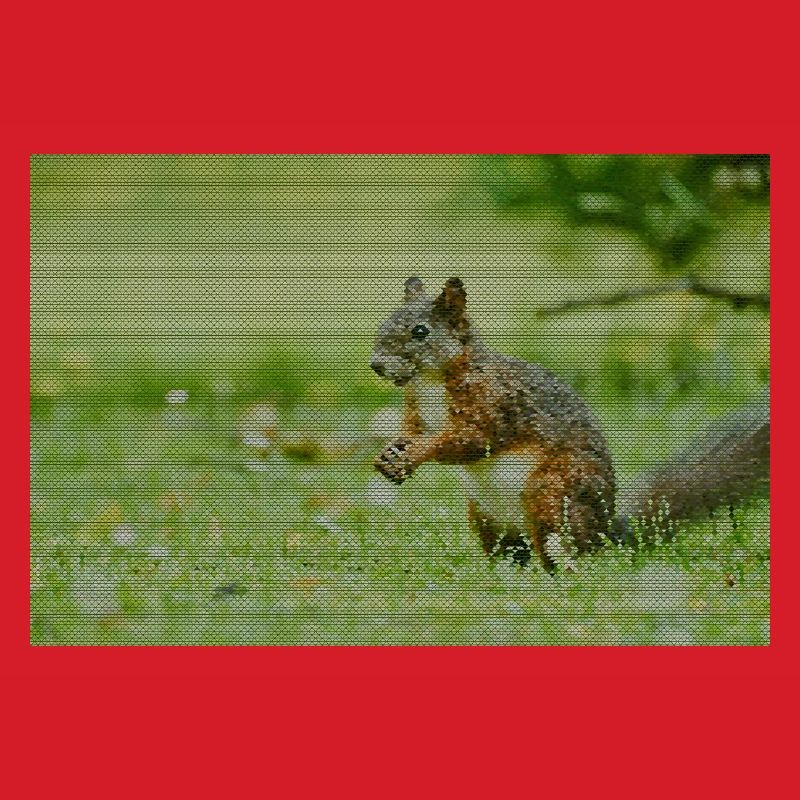 Squirrel Forest Pattern