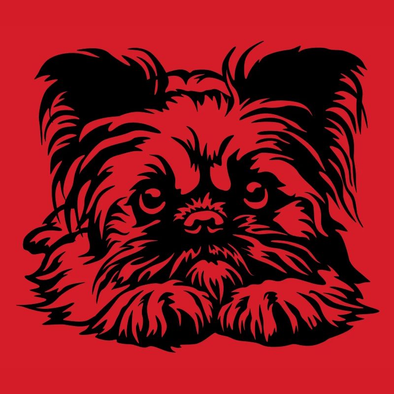 Brussels Griffon Head