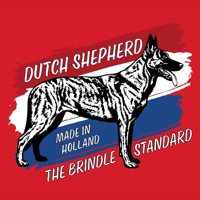 Dutch Shepherd – Dutchie