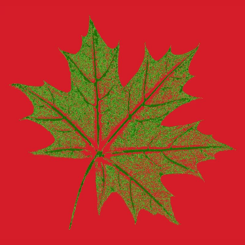 Leaf Maple / Maple Leaf
