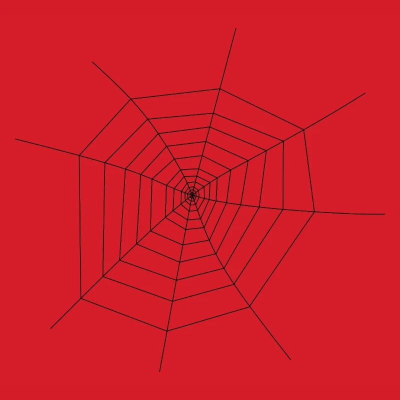 Spider Web