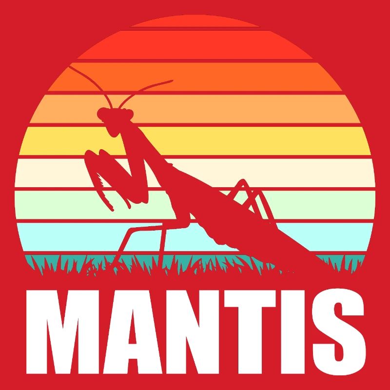 Mantis Gottesanbeter Gottesanbeterin