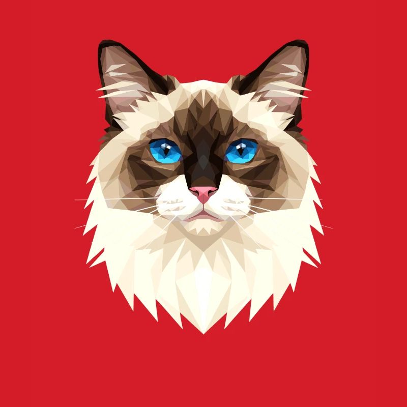 Chat Birman Chat Birman Sacré Chat Birman Mignons Chats Birman