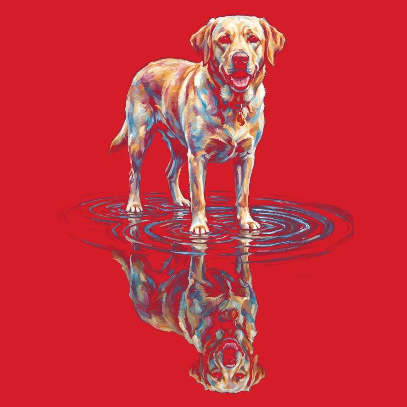 Labrador Retriever with Water Reflection