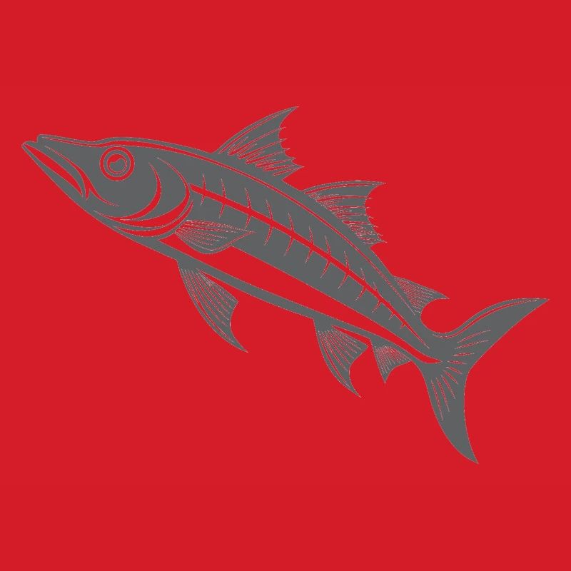 Barracuda