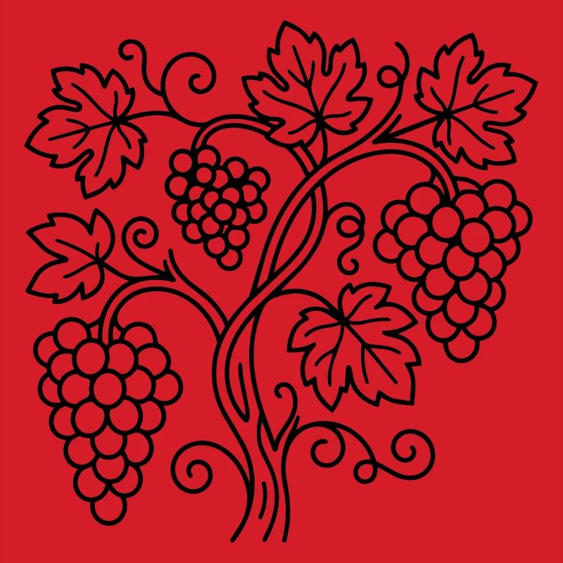 vineyard