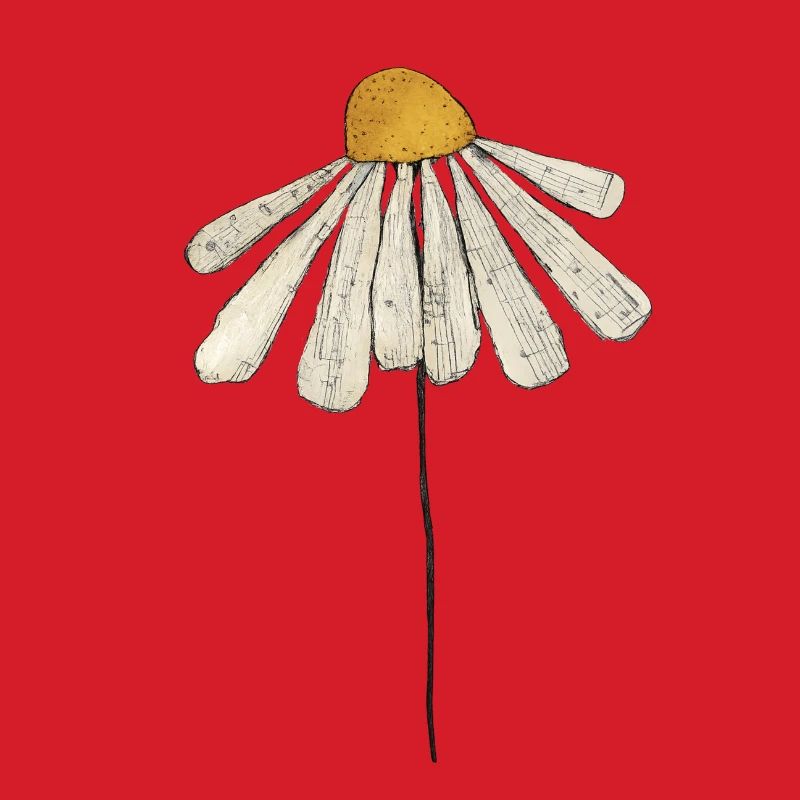 Gänseblümchen Minimal-Illustration