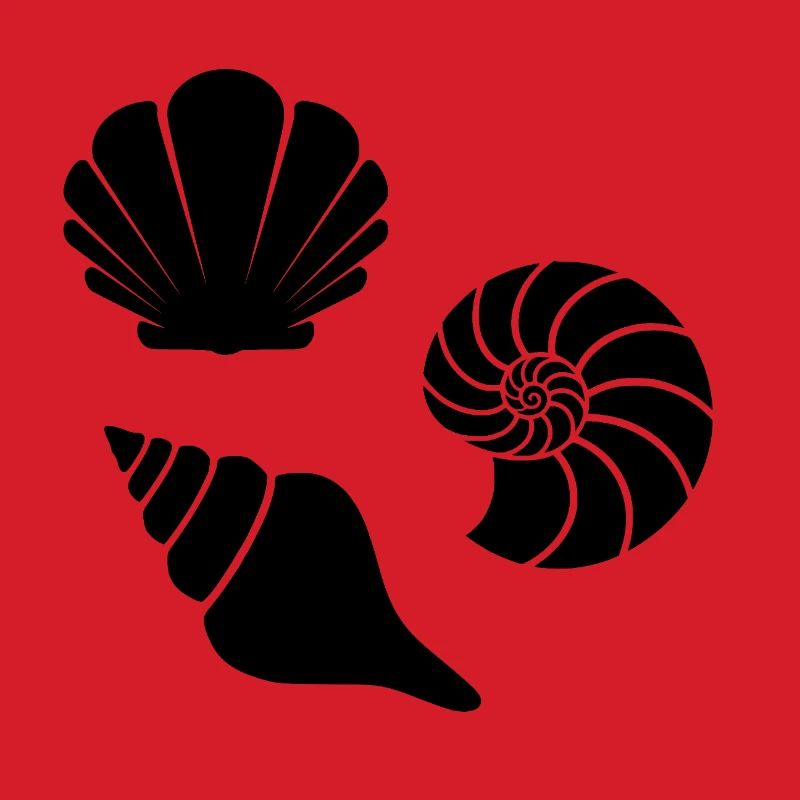 Seashells