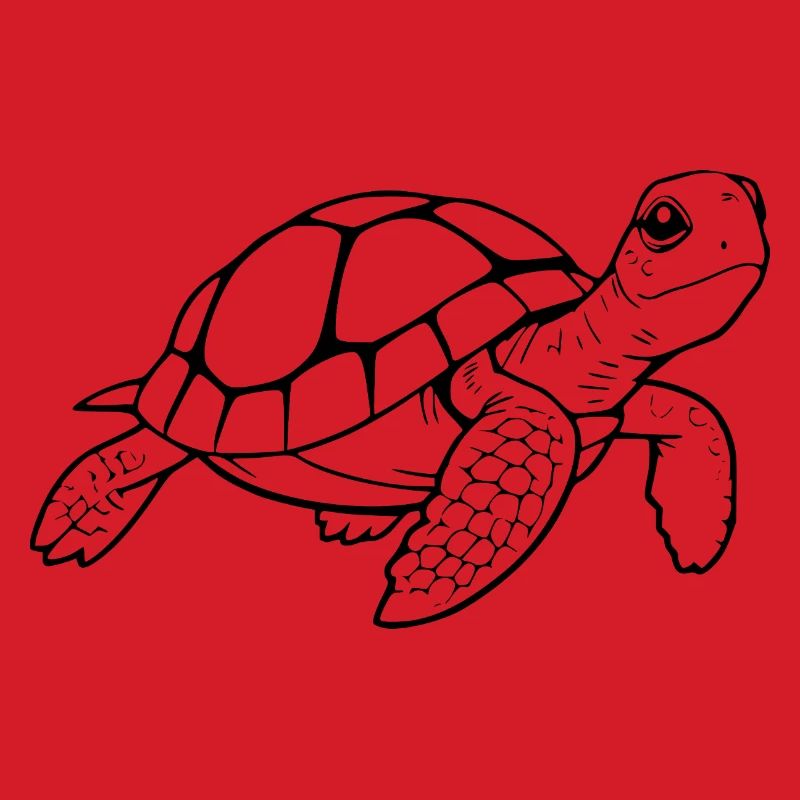 Turtle Turtle Gift