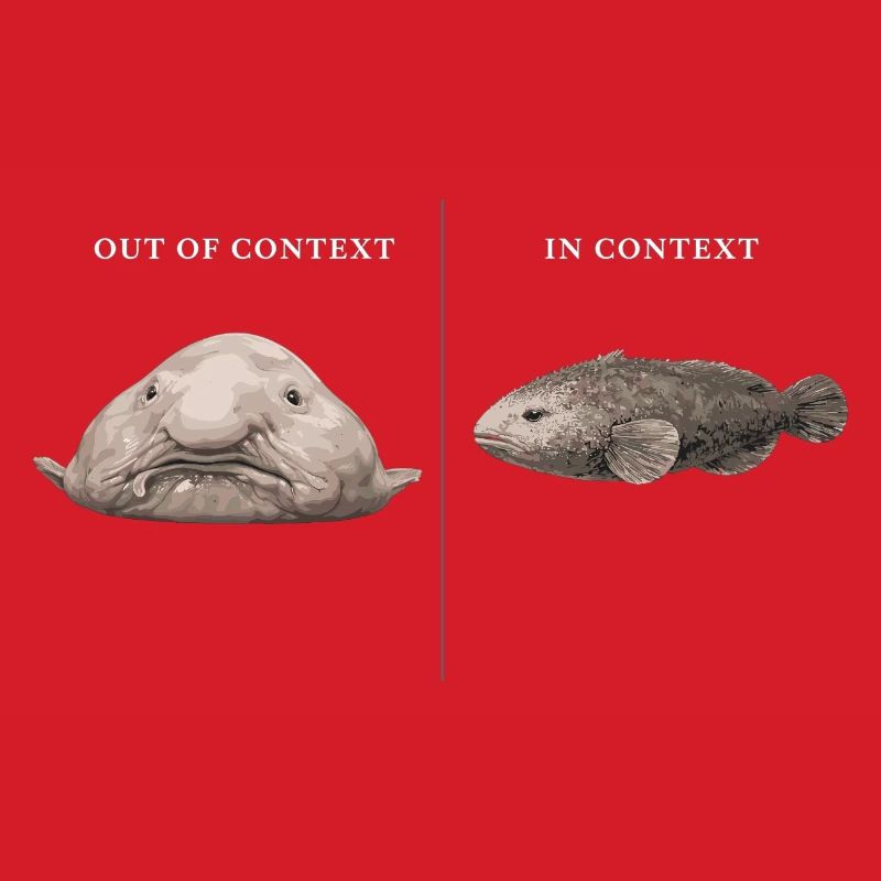 Blobfish hors contexte vs comparaison dans le contexte