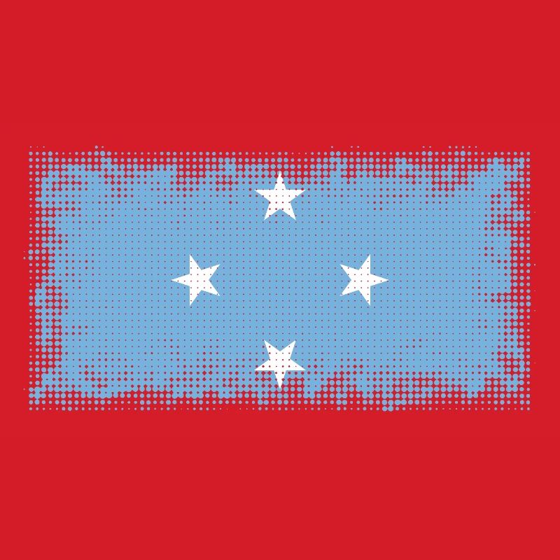 Gift for Micronesia