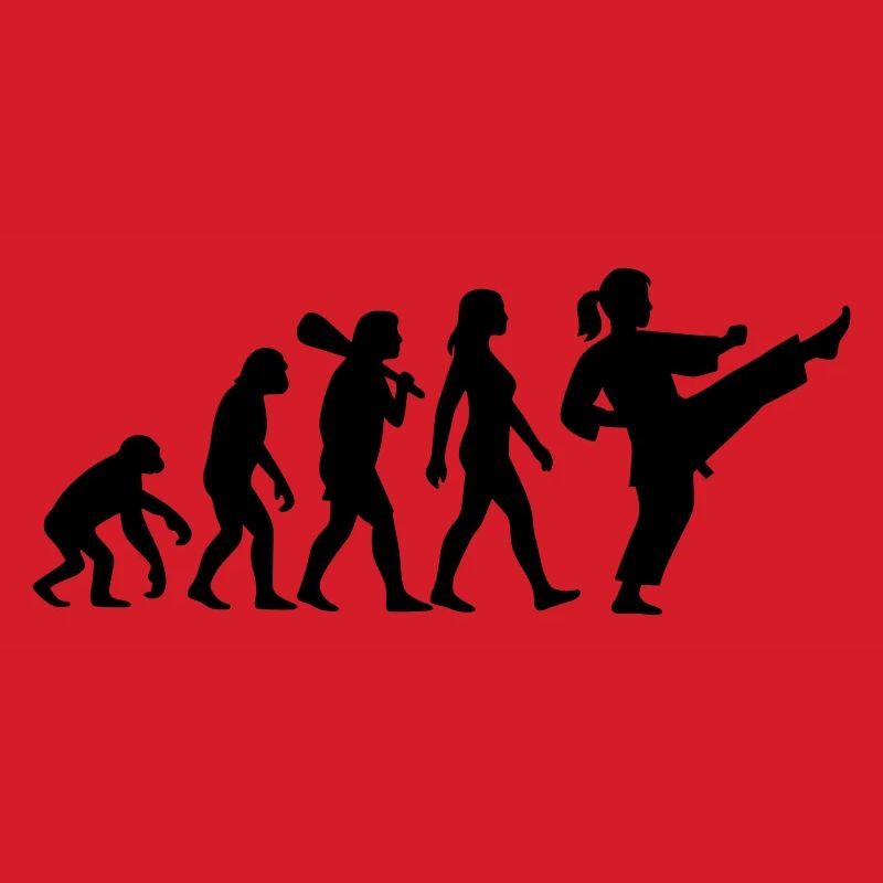 Karate Evolution