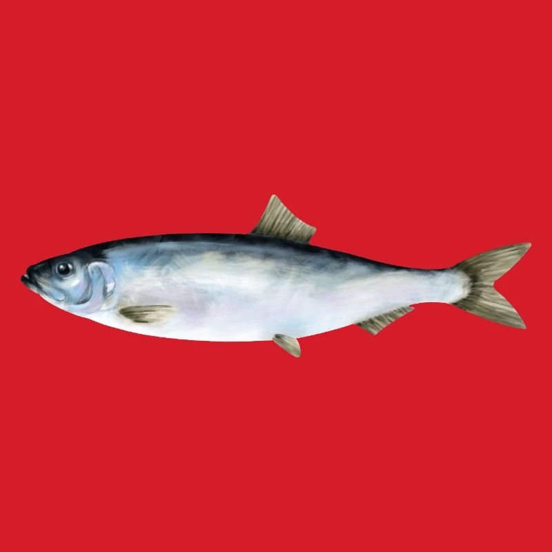 herring
