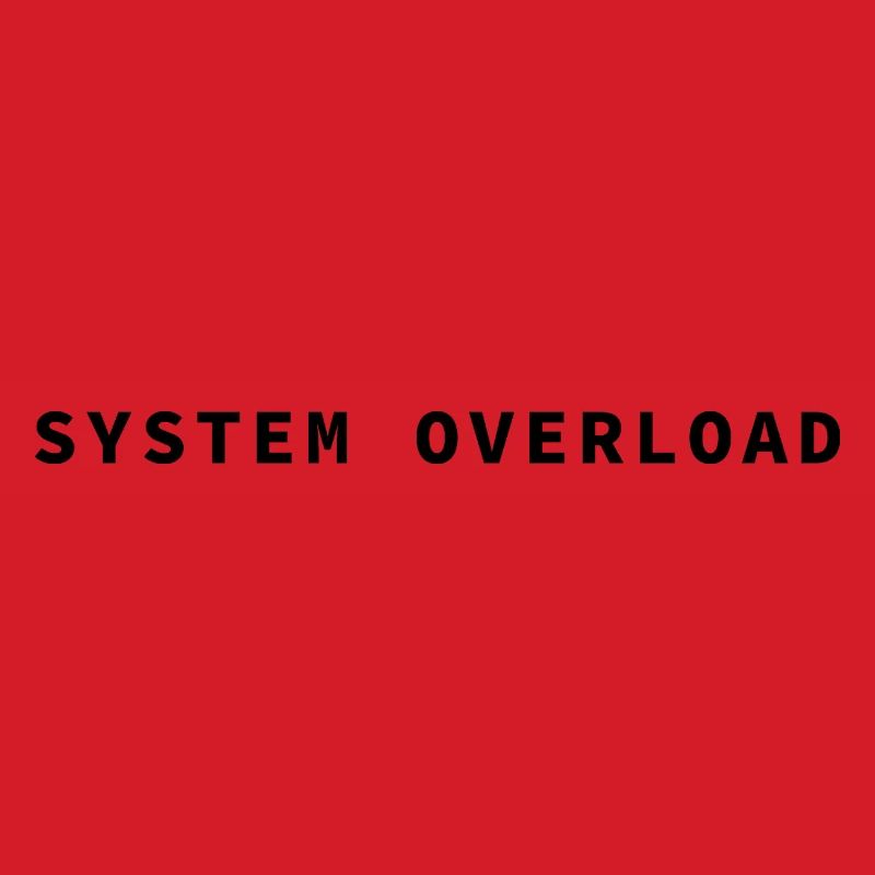 SYSTEM OVERLOAD