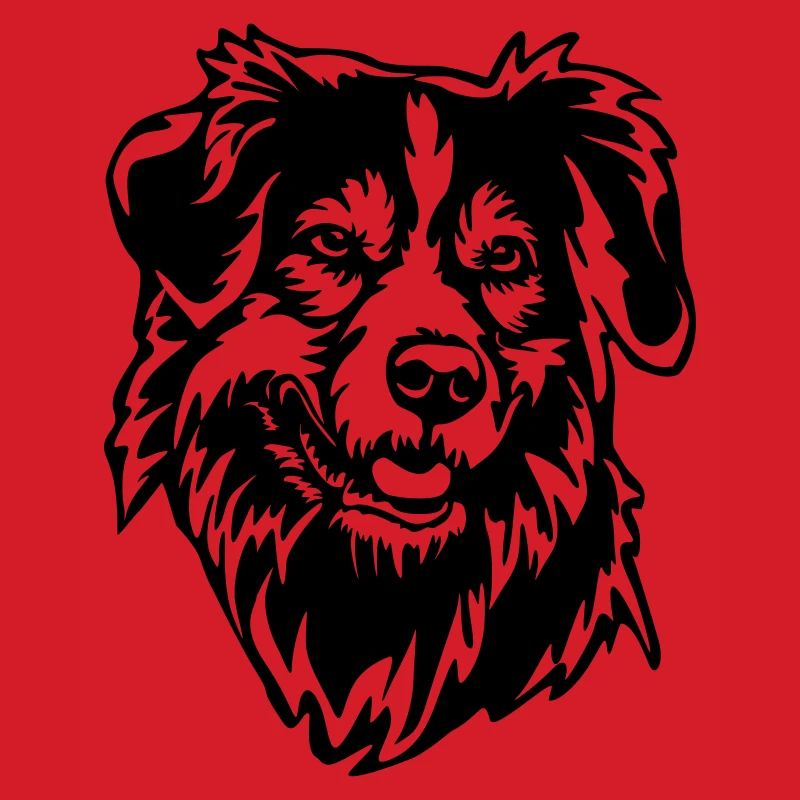 Australian Shepherd Head