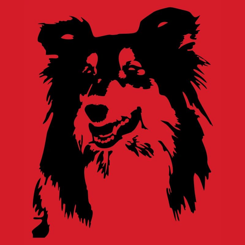 Collie head