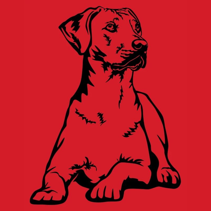 Rhodesian Ridgeback